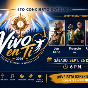 Boleta VIP